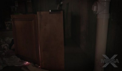 В спокойной домашней обстановке в спальне произошел интимный момент между симпатичной девушкой и ее братом.